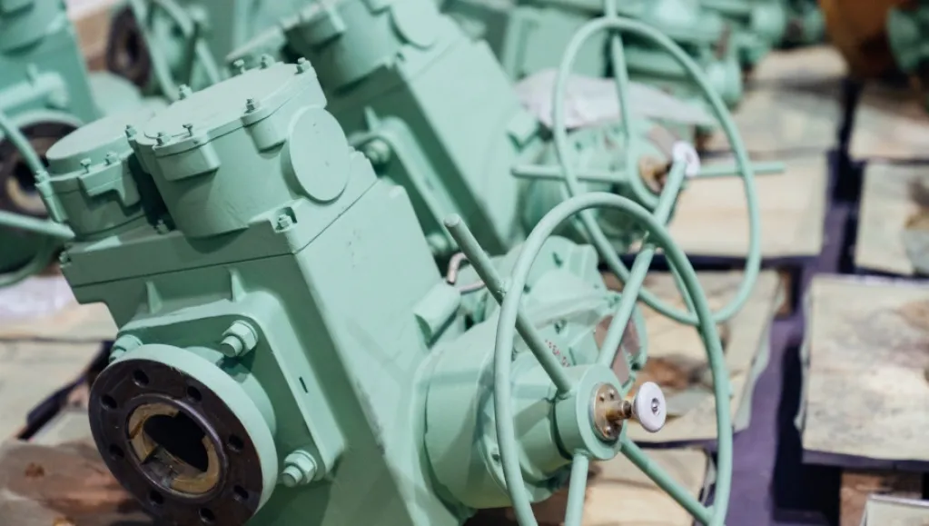Petrozavodskmash manufactured pipeline valves for Rooppur NPP